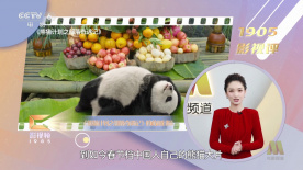 亚洲欧美色一区二区三区